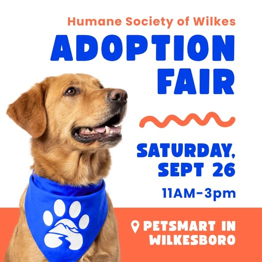 Sept 2026 fair graphic