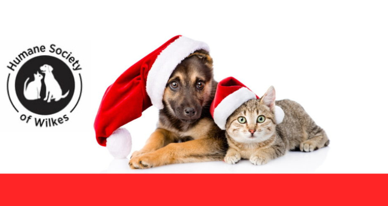 Christmas pup and cat w logo FBk 2