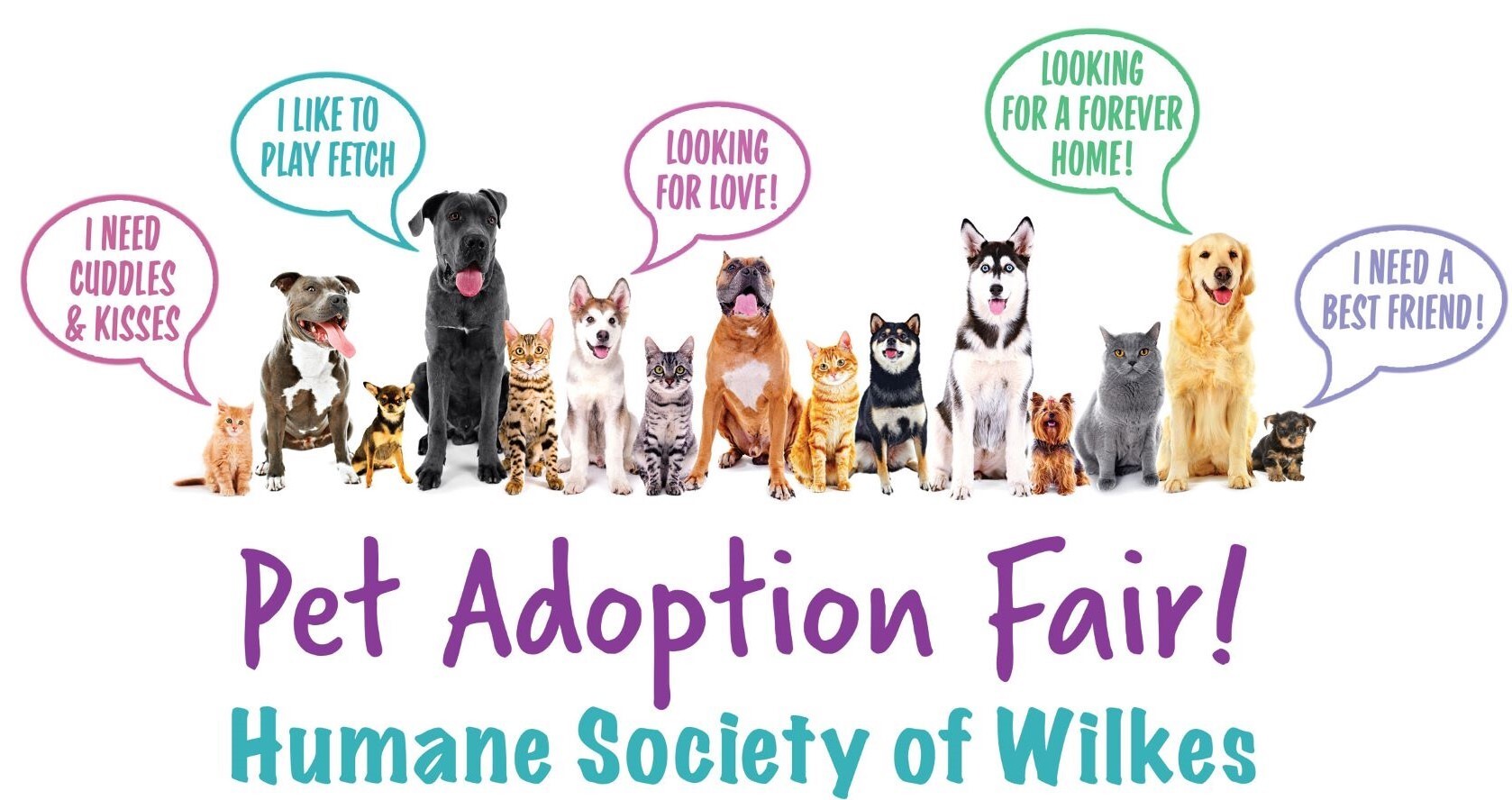 Pet Adoption Fair Small