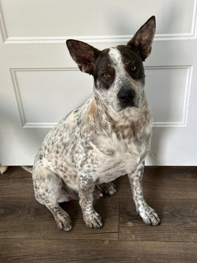 Courtesy Listing: Luke