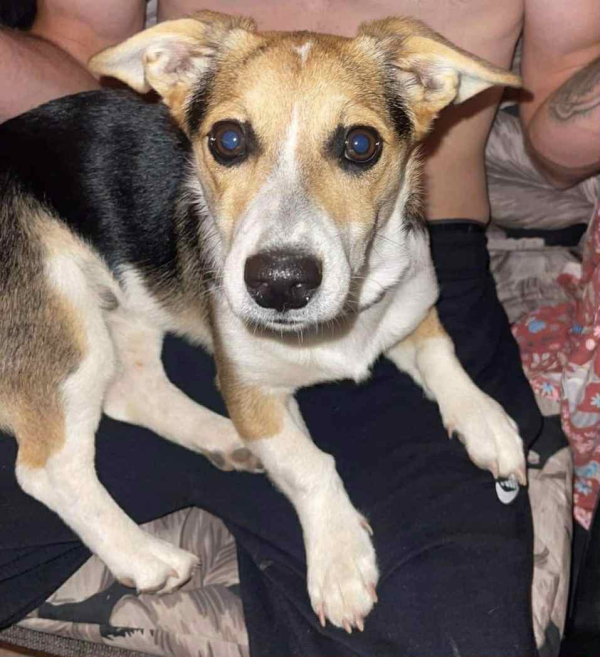 Courtesy Listing: Peppy