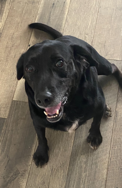 Courtesy Listing: Lucky