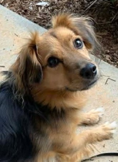 Courtesy Listing: Rocky