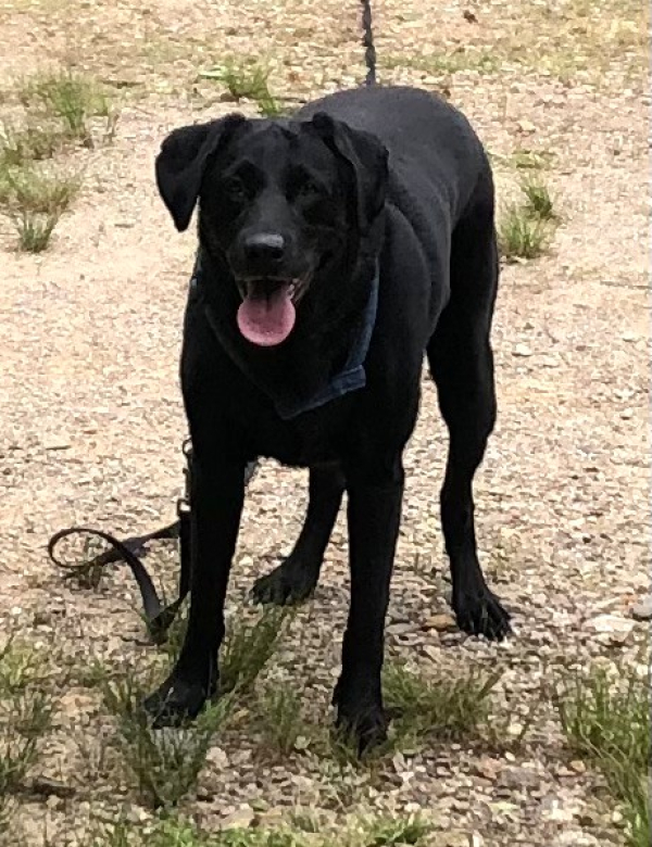 Courtesy Listing: Gus