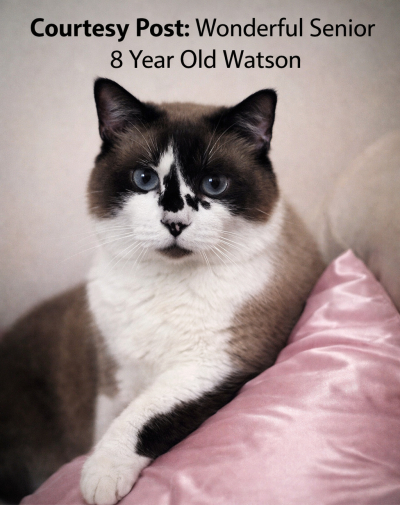 Courtesy Listing: Watson
