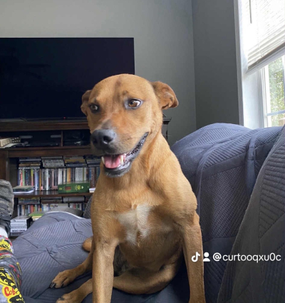 Courtesy Listing: Molly